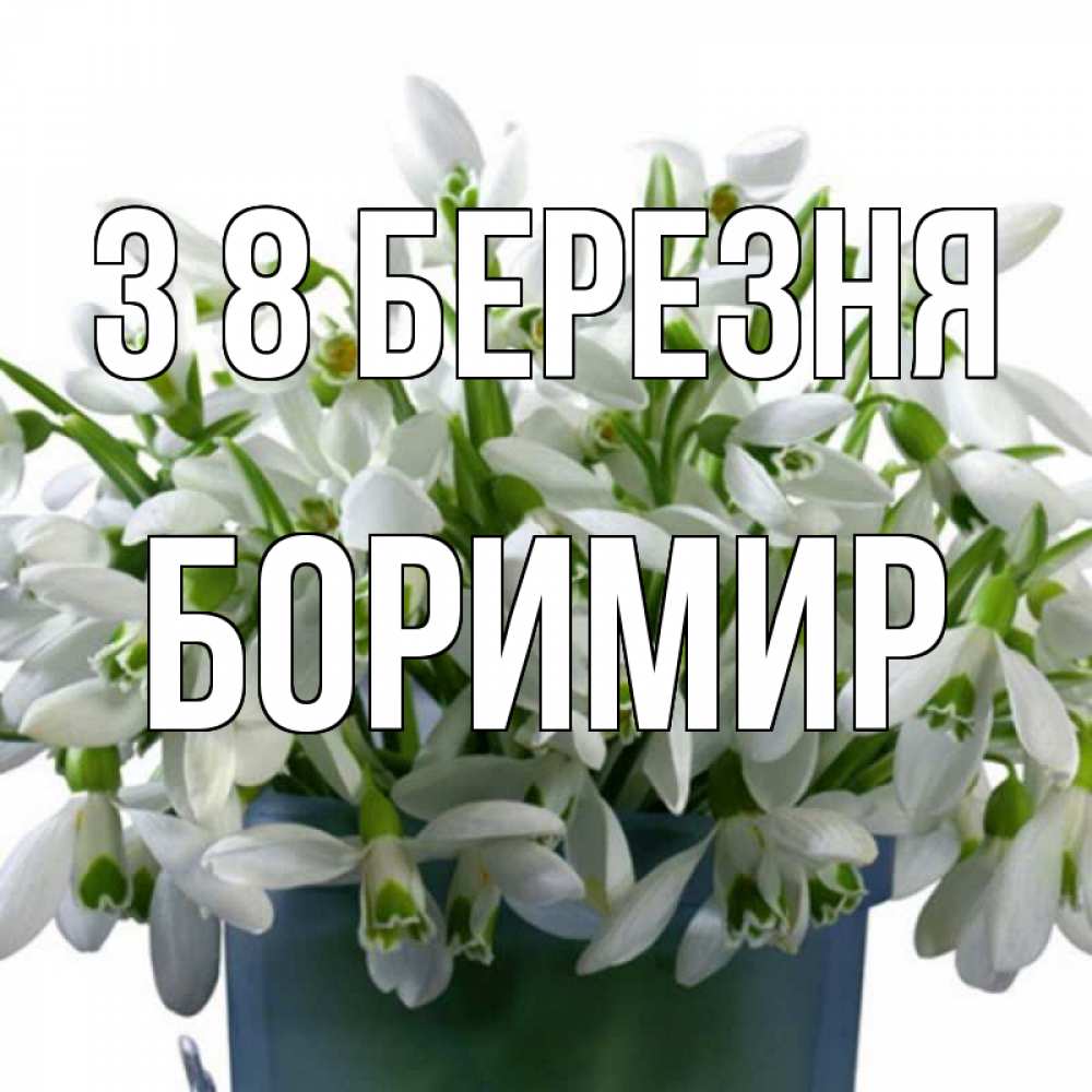 Открытка на каждый день з підписом, Боримир З 8 БЕРЕЗНЯ цветы к международному женскому дню Прикольна листівка з побажанням онлайн скачати безкоштовно 