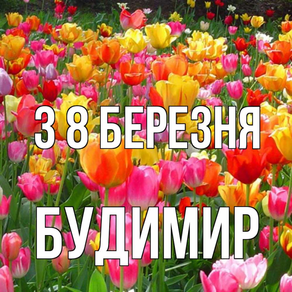 Открытка на каждый день з підписом, Будимир З 8 БЕРЕЗНЯ на международный женский день Прикольна листівка з побажанням онлайн скачати безкоштовно 