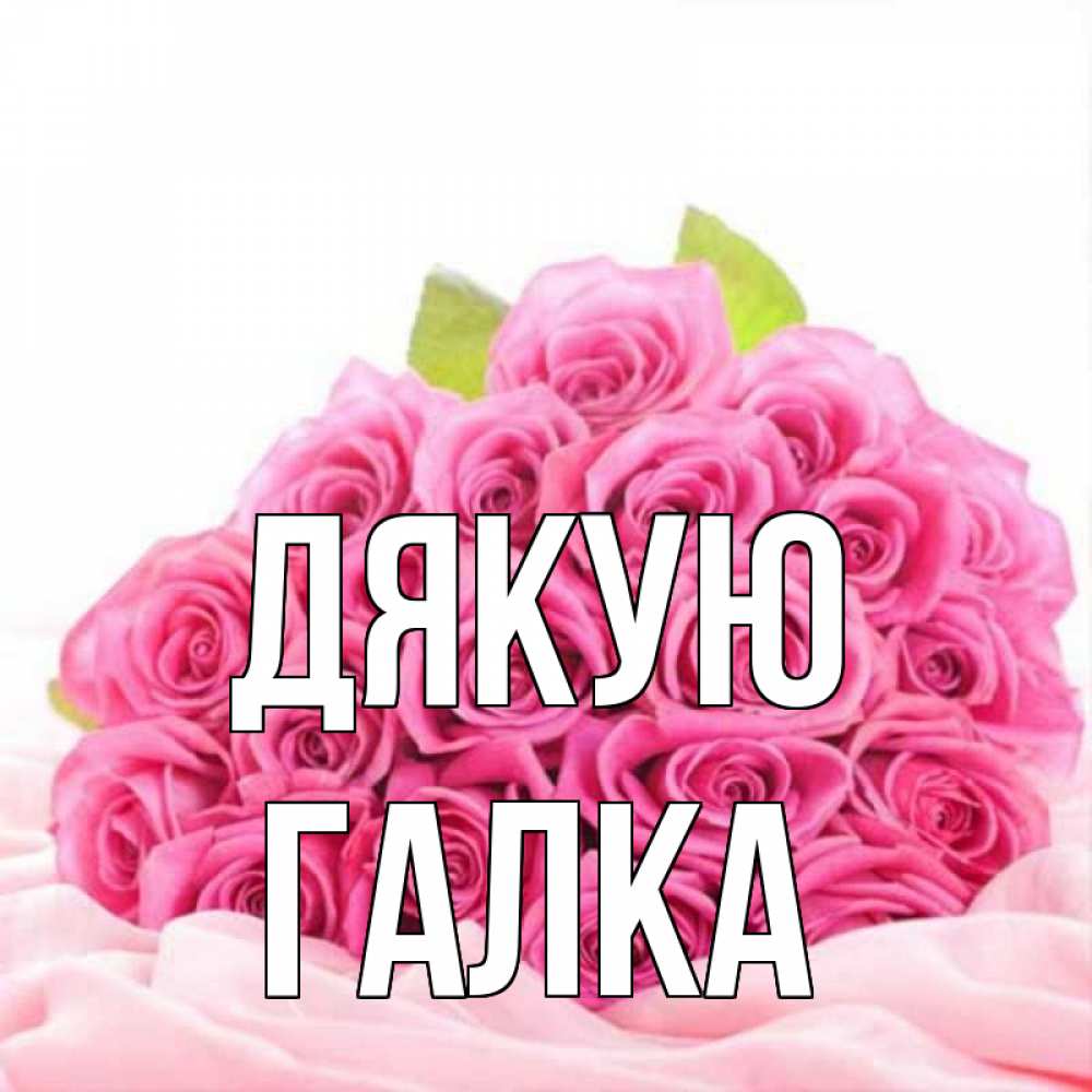 Открытка на каждый день з підписом, Галка Дякую розовые розы с подписью Прикольна листівка з побажанням онлайн скачати безкоштовно 