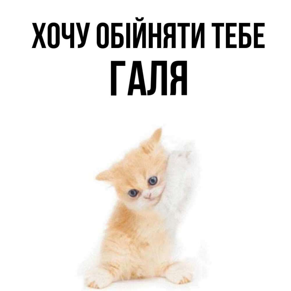 Открытка на каждый день з підписом, Галя Хочу обійняти тебе я хочу очень скорее обнимаешек Прикольна листівка з побажанням онлайн скачати безкоштовно 