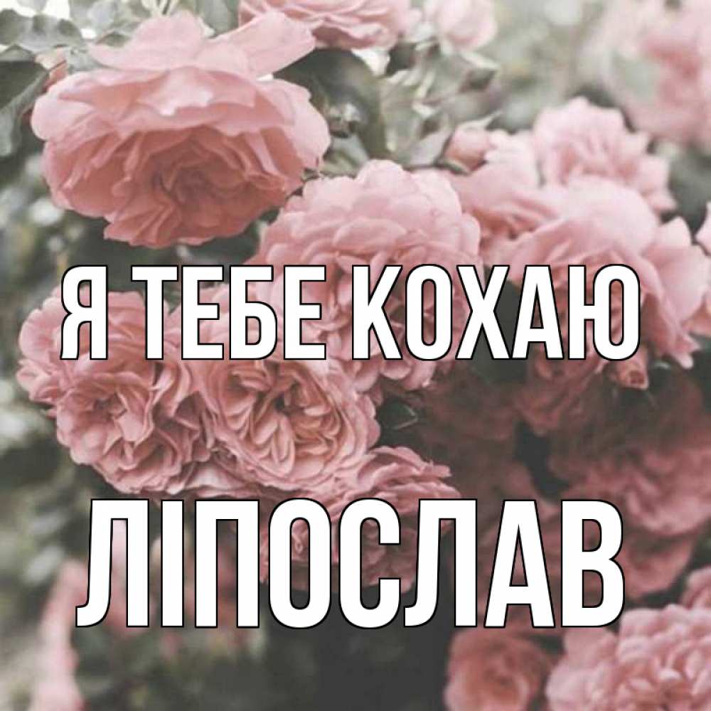 Открытка на каждый день з підписом, Ліпослав Я тебе кохаю розы 3 Прикольна листівка з побажанням онлайн скачати безкоштовно 