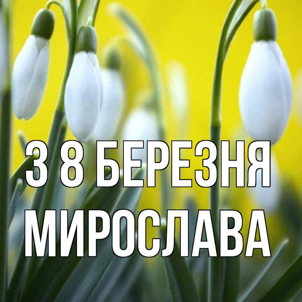 Открытка на каждый день з підписом, Мирослава З 8 БЕРЕЗНЯ весенние цветы Прикольна листівка з побажанням онлайн скачати безкоштовно 