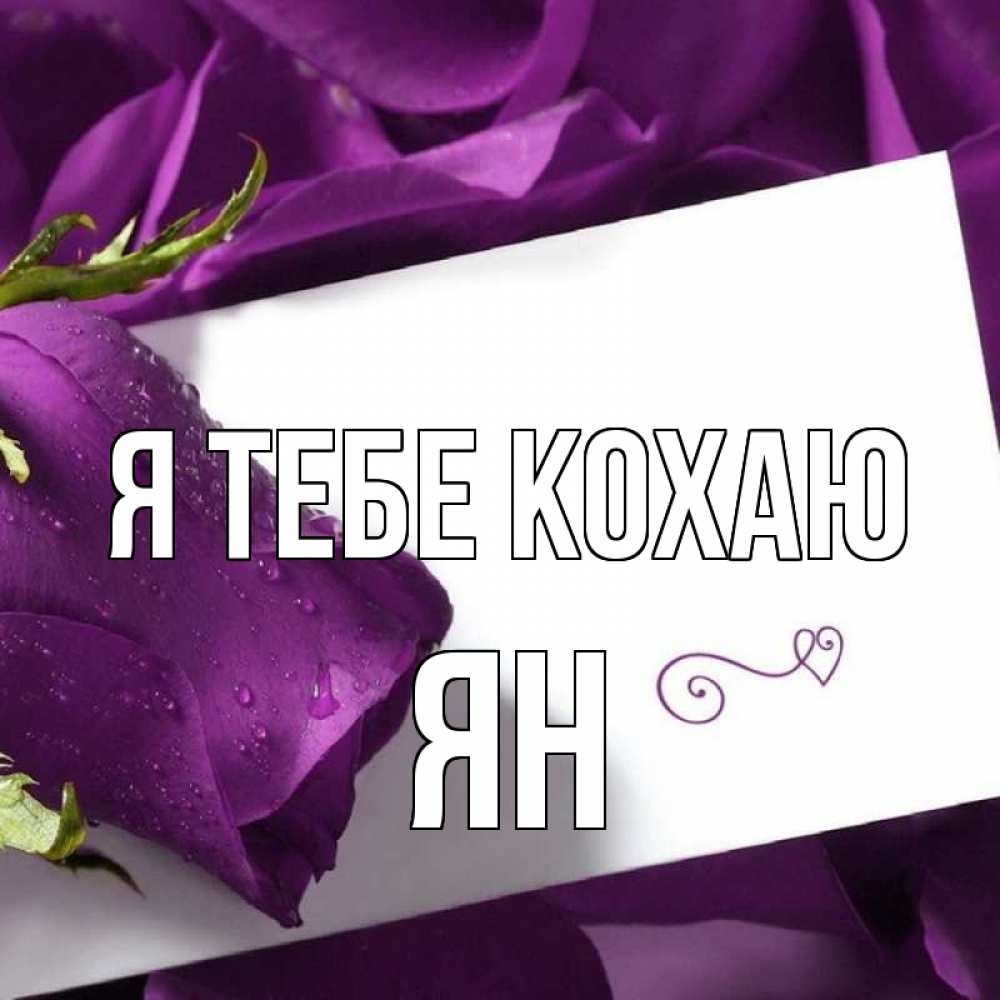 Открытка на каждый день з підписом, Ян Я тебе кохаю роза Прикольна листівка з побажанням онлайн скачати безкоштовно 