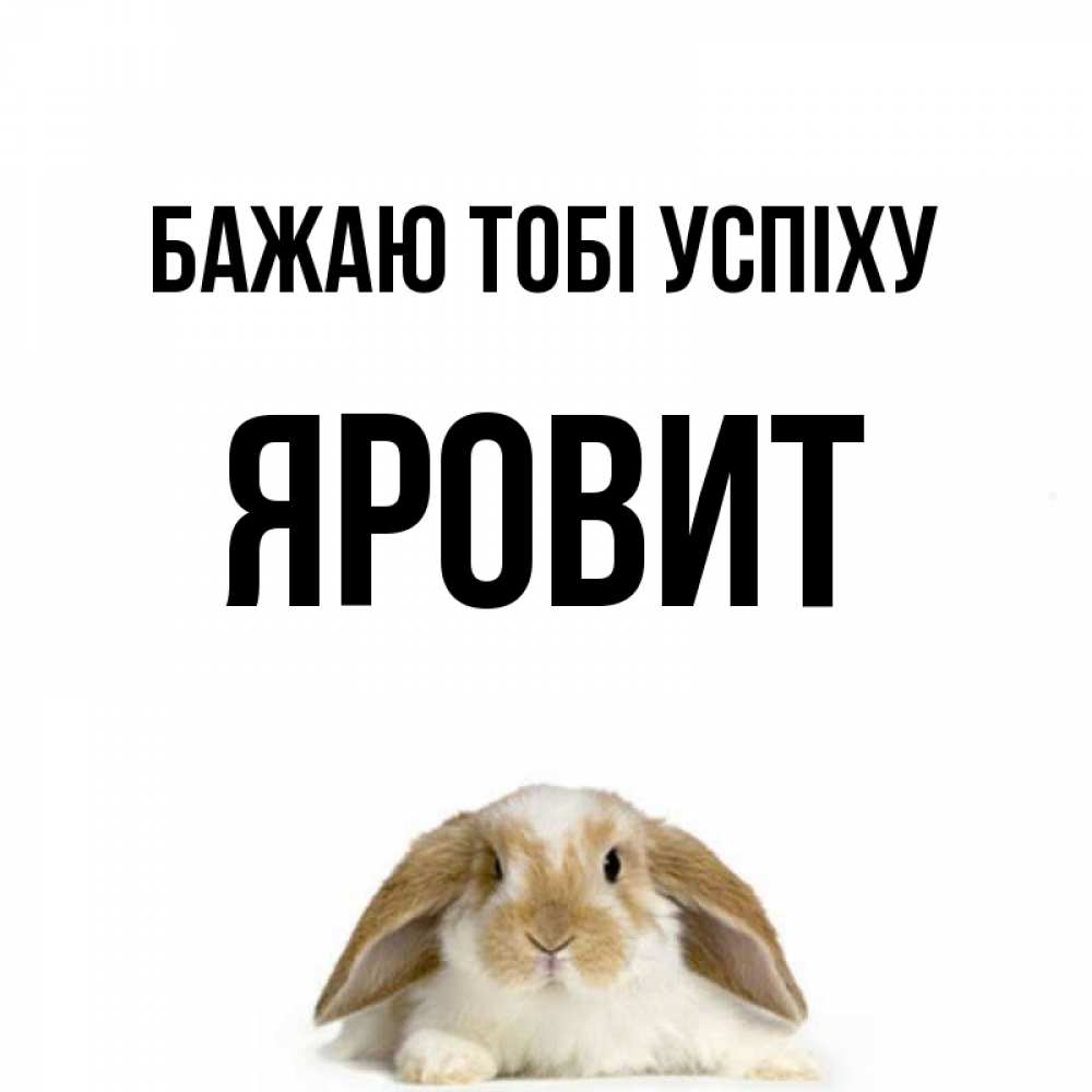 Открытка на каждый день з підписом, Яровит Бажаю тобі успіху открытки с произвольным текстом который можно вставить в открытку и создать ее самостоятельно бесплатно онлайн Прикольна листівка з побажанням онлайн скачати безкоштовно 