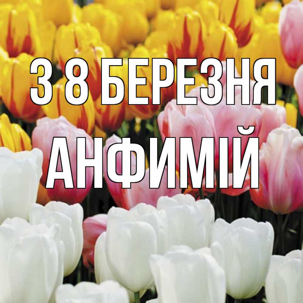 Открытка на каждый день з підписом, Анфимій З 8 БЕРЕЗНЯ разноцветные цветы Прикольна листівка з побажанням онлайн скачати безкоштовно 