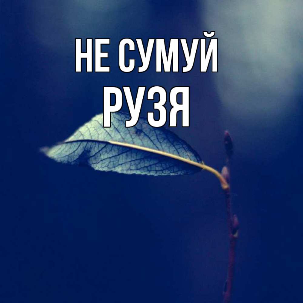 Открытка на каждый день з підписом, Рузя Не сумуй растение Прикольна листівка з побажанням онлайн скачати безкоштовно 