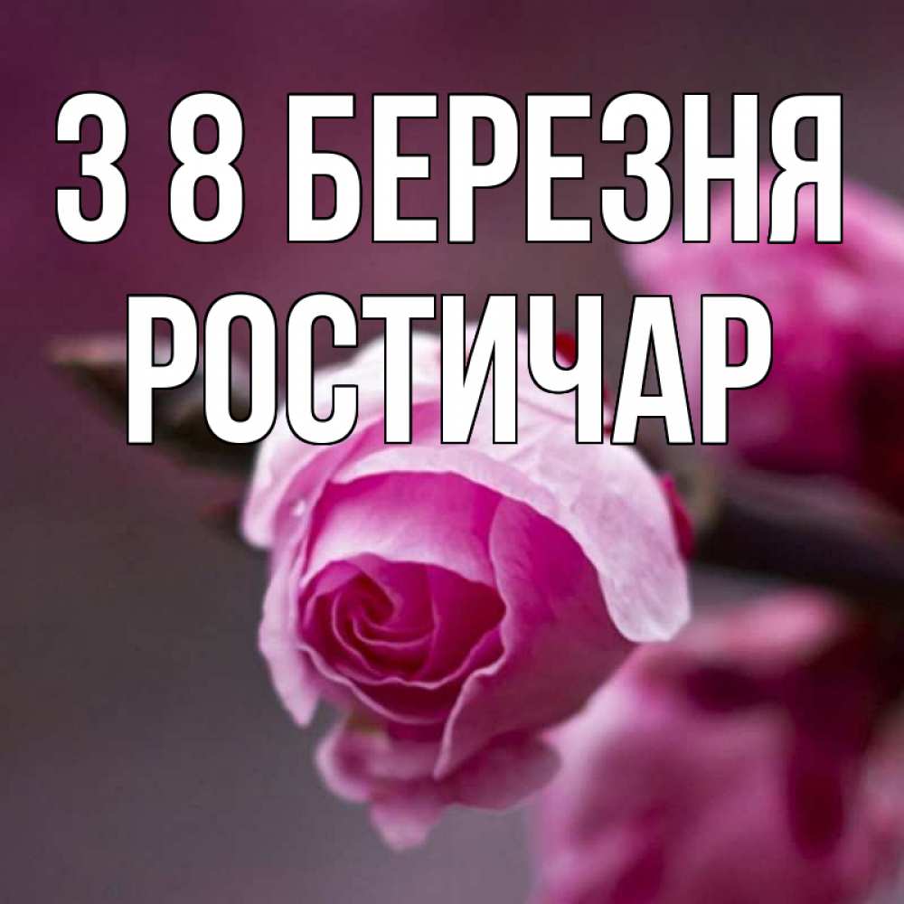 Открытка на каждый день з підписом, Ростичар З 8 БЕРЕЗНЯ весна Прикольна листівка з побажанням онлайн скачати безкоштовно 