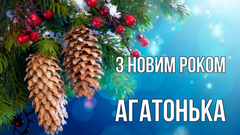 Открытка на каждый день з підписом, Агатонька З новим роком Новый год, ель, шишки Прикольна листівка з побажанням онлайн скачати безкоштовно 