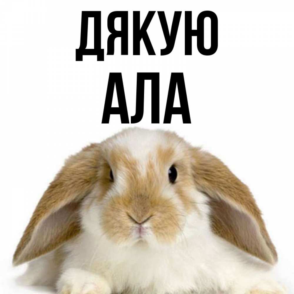 Открытка на каждый день з підписом, Ала Дякую коричнево белый заяц Прикольна листівка з побажанням онлайн скачати безкоштовно 