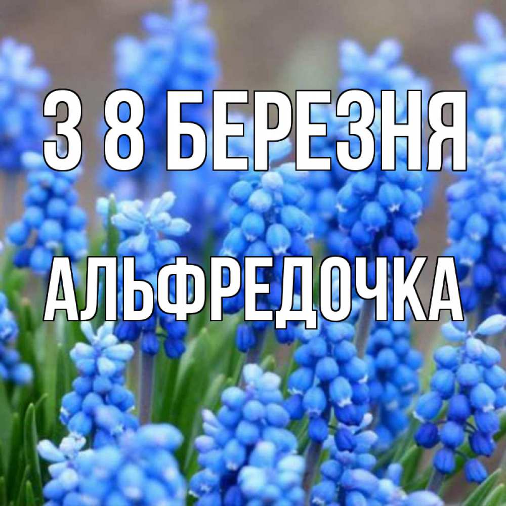 Открытка на каждый день з підписом, Альфредочка З 8 БЕРЕЗНЯ Поздравительная открытка для женщин с цветами на праздничную дату Прикольна листівка з побажанням онлайн скачати безкоштовно 