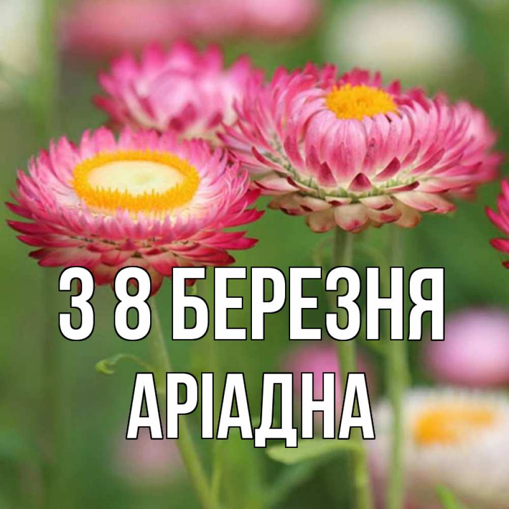 Открытка на каждый день з підписом, Аріадна З 8 БЕРЕЗНЯ подарок на международный женский день Прикольна листівка з побажанням онлайн скачати безкоштовно 