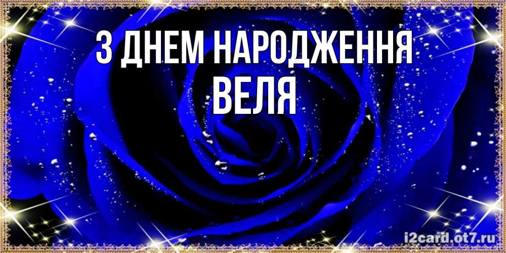 Открытка на каждый день з підписом, Веля З Днем народження голубые цветы в росе Прикольна листівка з побажанням онлайн скачати безкоштовно 