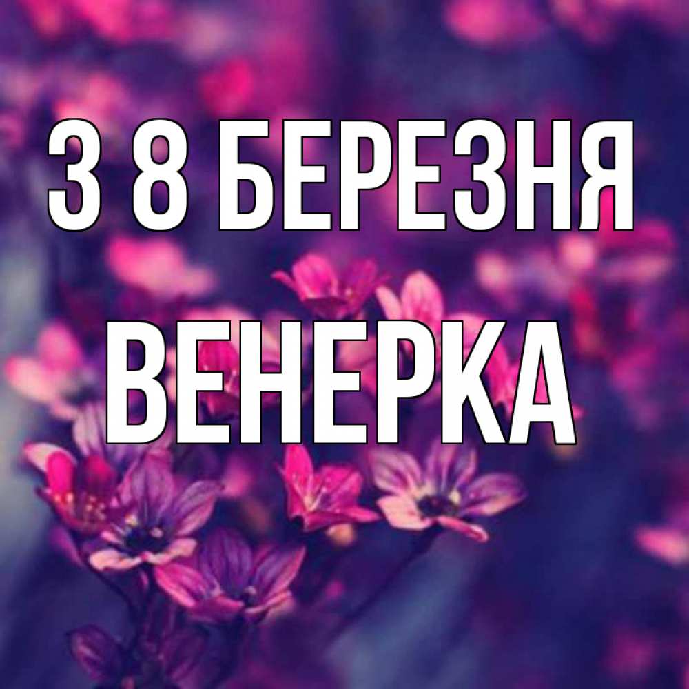 Открытка на каждый день з підписом, Венерка З 8 БЕРЕЗНЯ небольшие цветы 1 Прикольна листівка з побажанням онлайн скачати безкоштовно 
