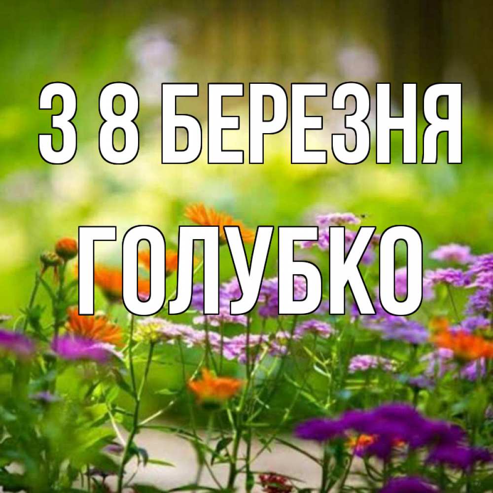 Открытка на каждый день з підписом, Голубко З 8 БЕРЕЗНЯ цветы Прикольна листівка з побажанням онлайн скачати безкоштовно 