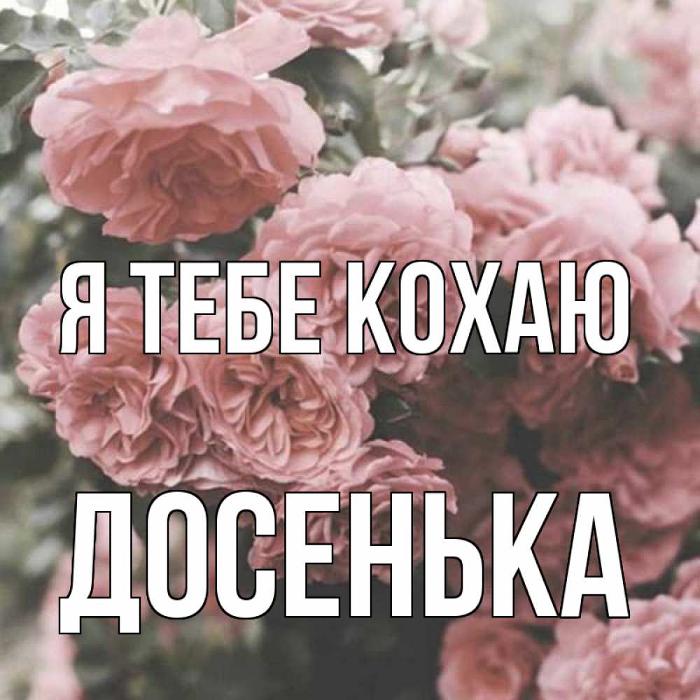 Открытка на каждый день з підписом, Досенька Я тебе кохаю розы 3 Прикольна листівка з побажанням онлайн скачати безкоштовно 