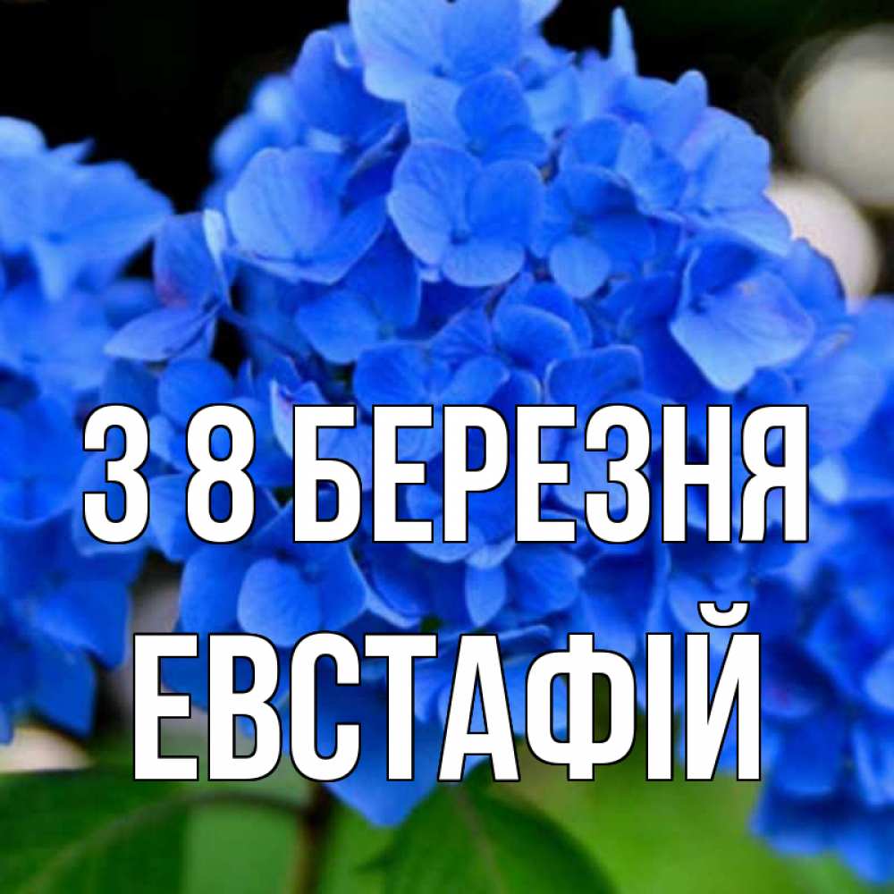 Открытка на каждый день з підписом, Евстафій З 8 БЕРЕЗНЯ синие цветы Прикольна листівка з побажанням онлайн скачати безкоштовно 