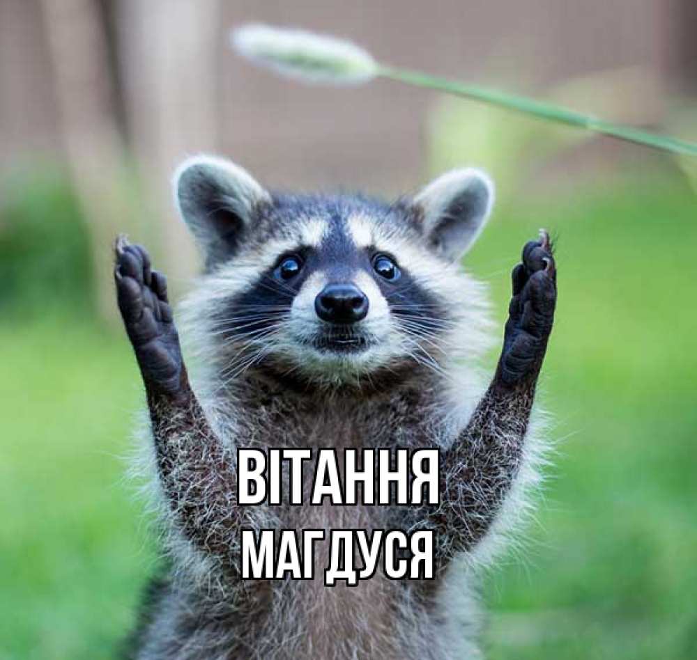 Открытка на каждый день з підписом, Магдуся Вітання животные Прикольна листівка з побажанням онлайн скачати безкоштовно 