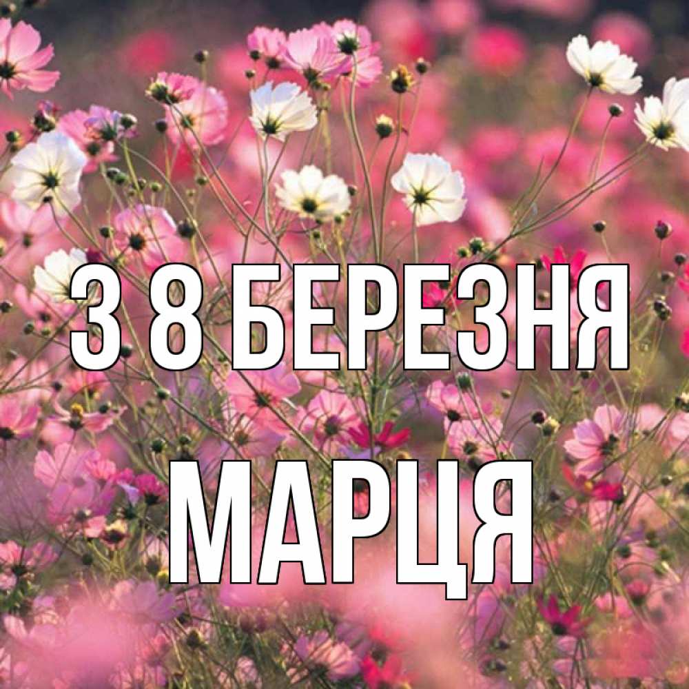 Открытка на каждый день з підписом, Марця З 8 БЕРЕЗНЯ красиво 1 Прикольна листівка з побажанням онлайн скачати безкоштовно 