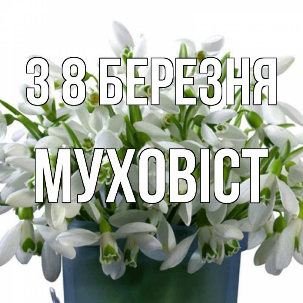 Открытка на каждый день з підписом, Муховіст З 8 БЕРЕЗНЯ цветы к международному женскому дню Прикольна листівка з побажанням онлайн скачати безкоштовно 
