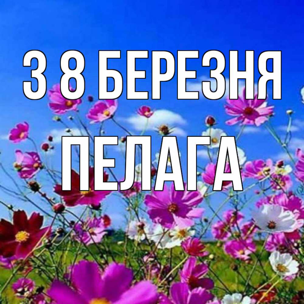 Открытка на каждый день з підписом, Пелага З 8 БЕРЕЗНЯ цветы Прикольна листівка з побажанням онлайн скачати безкоштовно 