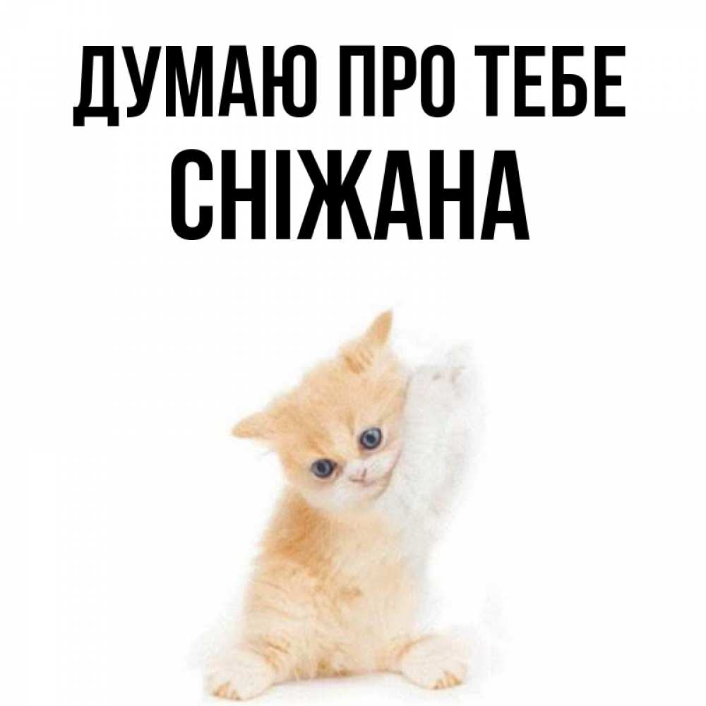 Открытка на каждый день з підписом, Сніжана Думаю про тебе зверушки и милота Прикольна листівка з побажанням онлайн скачати безкоштовно 