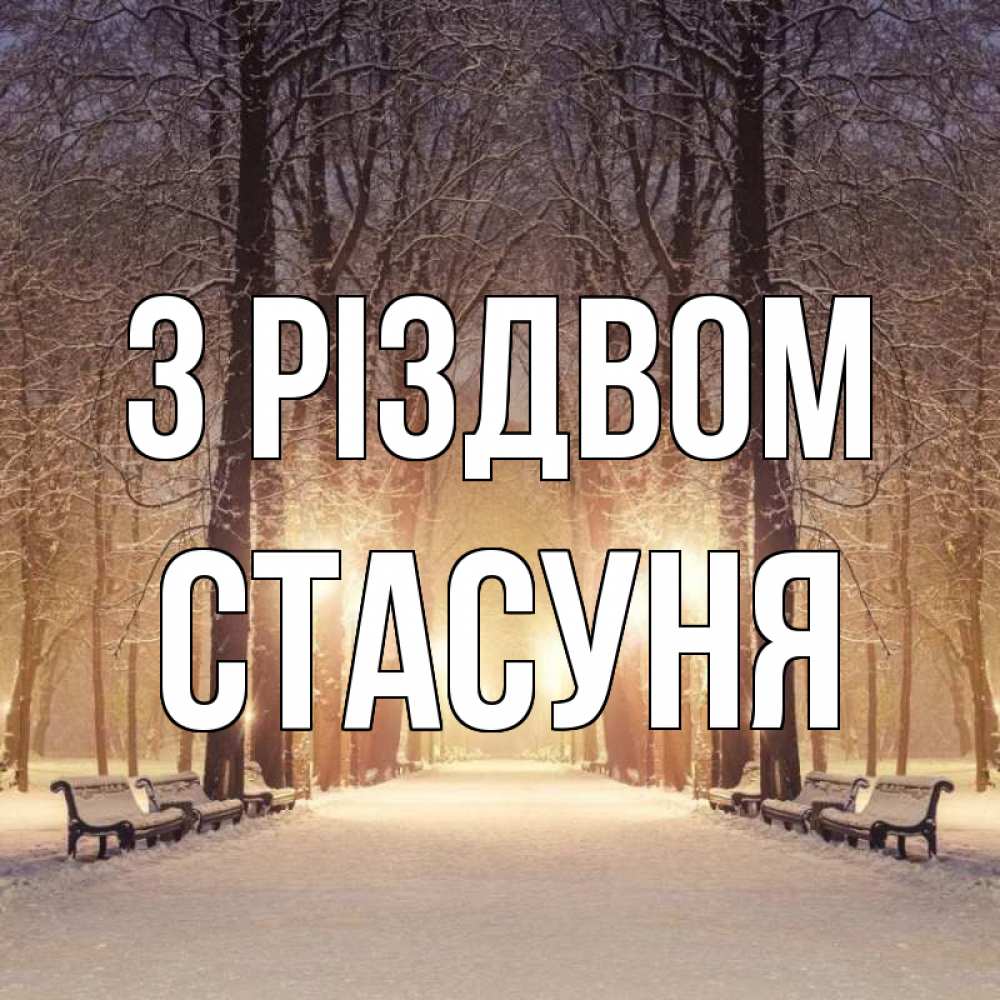 Открытка на каждый день з підписом, Стасуня З Різдвом зима, парк, фонарь, лес Прикольна листівка з побажанням онлайн скачати безкоштовно 