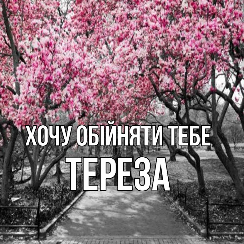 Открытка на каждый день з підписом, Тереза Хочу обійняти тебе обработанное фото Прикольна листівка з побажанням онлайн скачати безкоштовно 