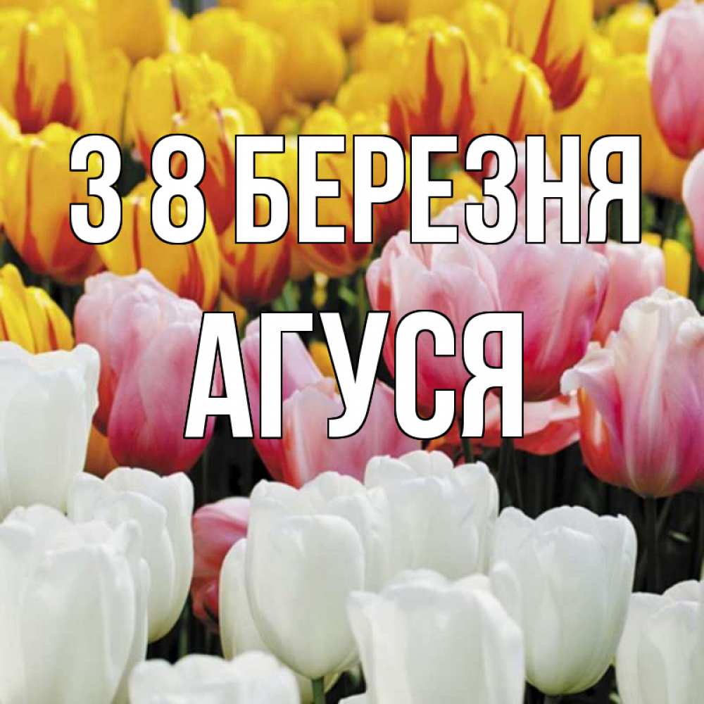 Открытка на каждый день з підписом, Агуся З 8 БЕРЕЗНЯ разноцветные цветы Прикольна листівка з побажанням онлайн скачати безкоштовно 
