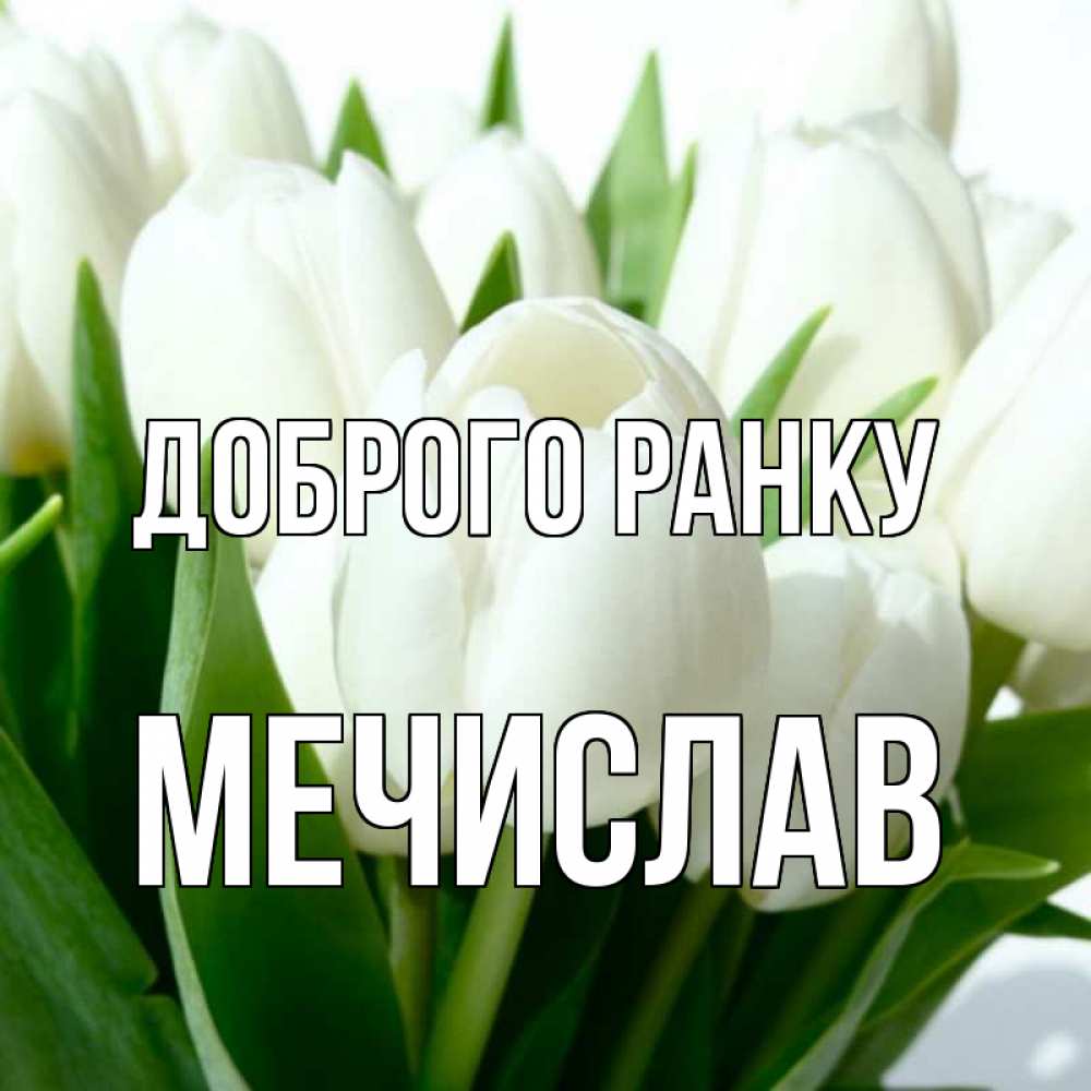 Открытка на каждый день з підписом, Мечислав Доброго ранку открытки на каждый день по именам Прикольна листівка з побажанням онлайн скачати безкоштовно 