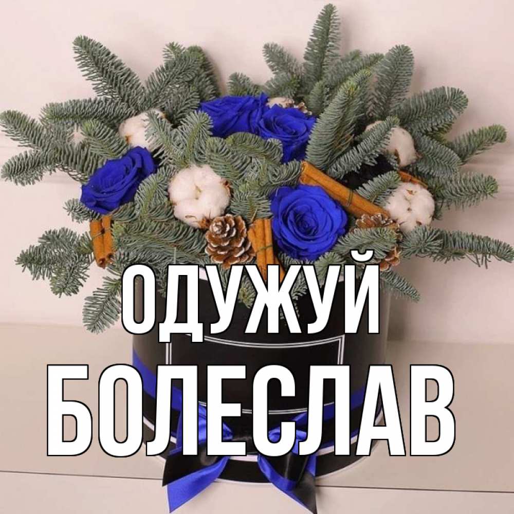 Открытка на каждый день з підписом, Болеслав Одужуй короче кто то загрузил эти шишки Прикольна листівка з побажанням онлайн скачати безкоштовно 