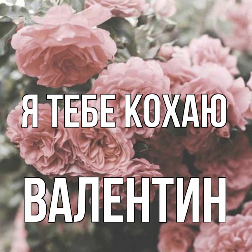 Открытка на каждый день з підписом, Валентин Я тебе кохаю розы 3 Прикольна листівка з побажанням онлайн скачати безкоштовно 