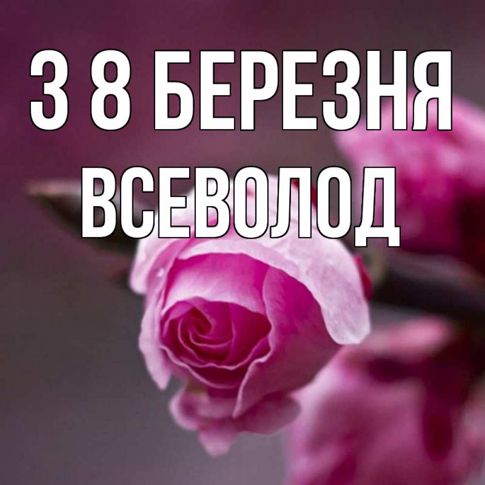 Открытка на каждый день з підписом, Всеволод З 8 БЕРЕЗНЯ весна Прикольна листівка з побажанням онлайн скачати безкоштовно 