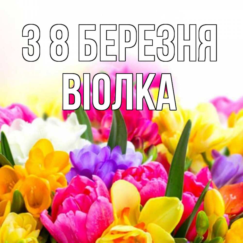 Открытка на каждый день з підписом, Віолка З 8 БЕРЕЗНЯ тюльпаны Прикольна листівка з побажанням онлайн скачати безкоштовно 