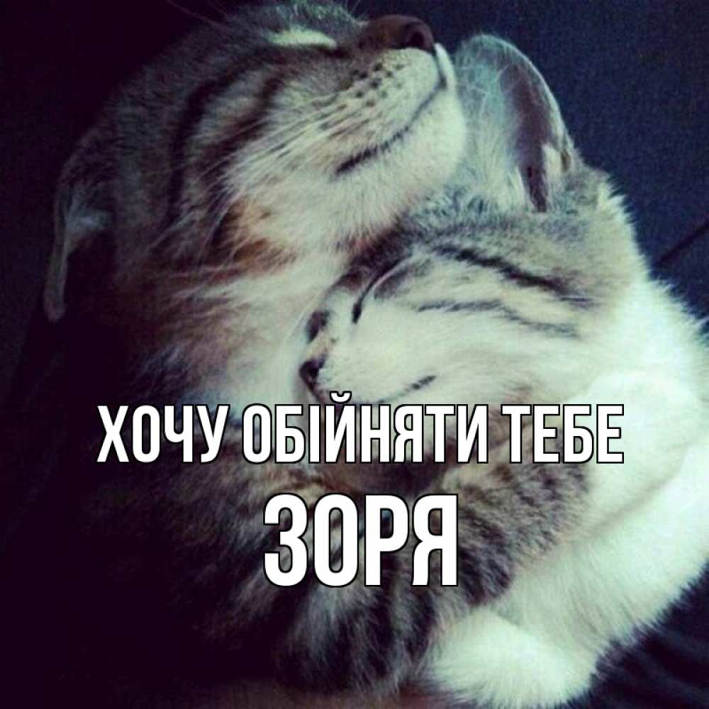 Открытка на каждый день з підписом, Зоря Хочу обійняти тебе полосатики Прикольна листівка з побажанням онлайн скачати безкоштовно 
