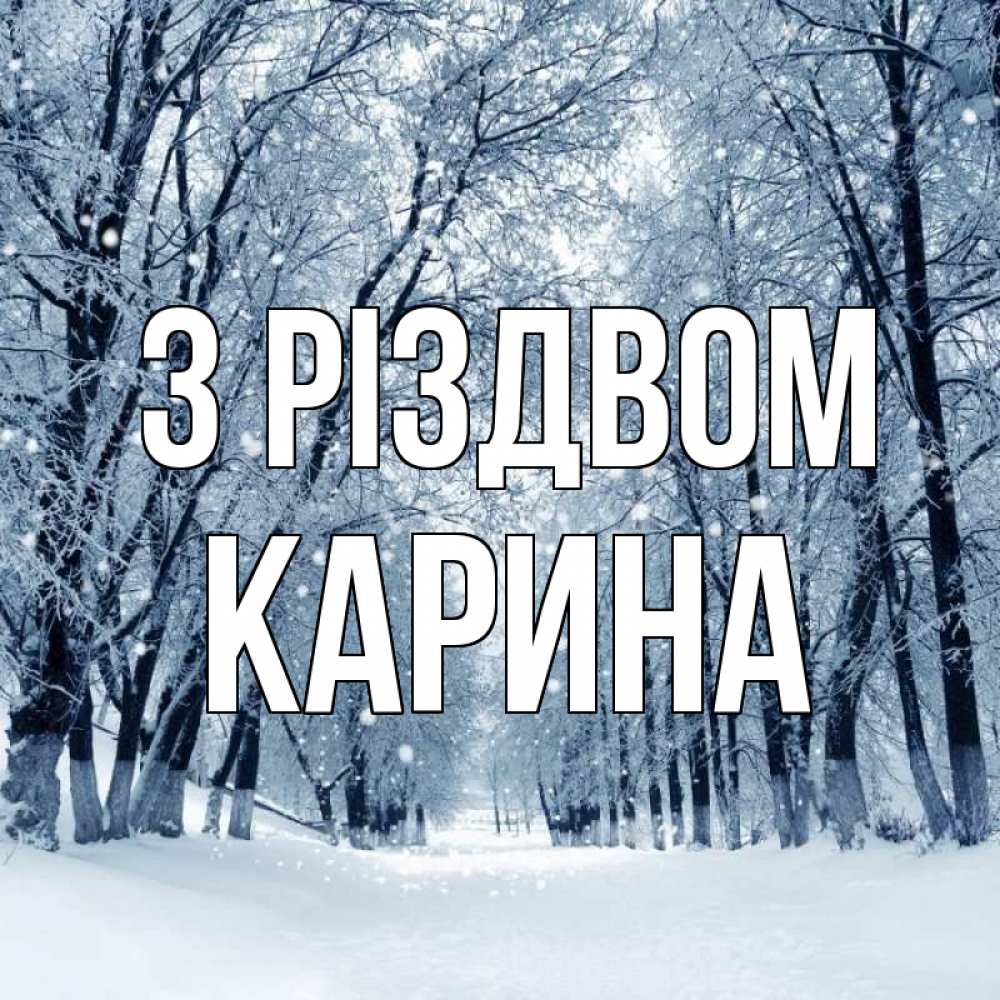 Открытка на каждый день з підписом, Карина З Різдвом снег, лес, парк Прикольна листівка з побажанням онлайн скачати безкоштовно 
