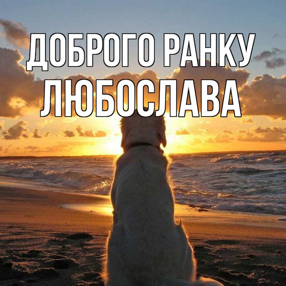 Открытка на каждый день з підписом, Любослава Доброго ранку восход солнца Прикольна листівка з побажанням онлайн скачати безкоштовно 