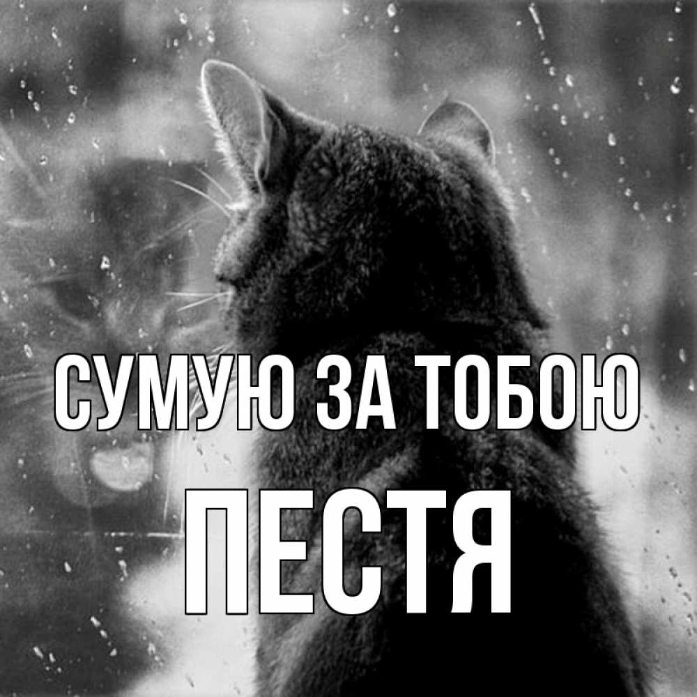 Открытка на каждый день з підписом, Пестя Сумую за тобою скорее ко мне приходи 1 Прикольна листівка з побажанням онлайн скачати безкоштовно 