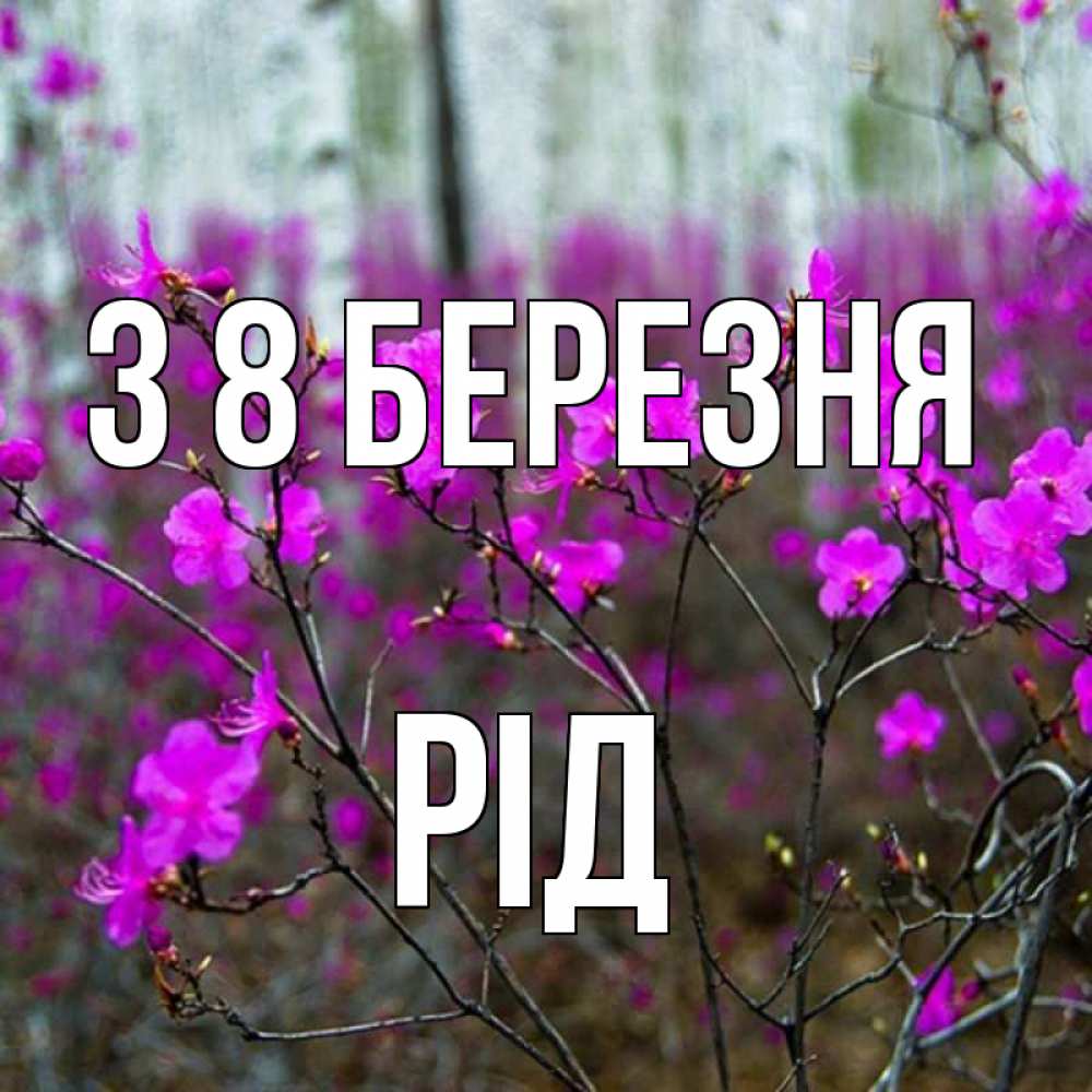 Открытка на каждый день з підписом, Рід З 8 БЕРЕЗНЯ дикие цветы Прикольна листівка з побажанням онлайн скачати безкоштовно 