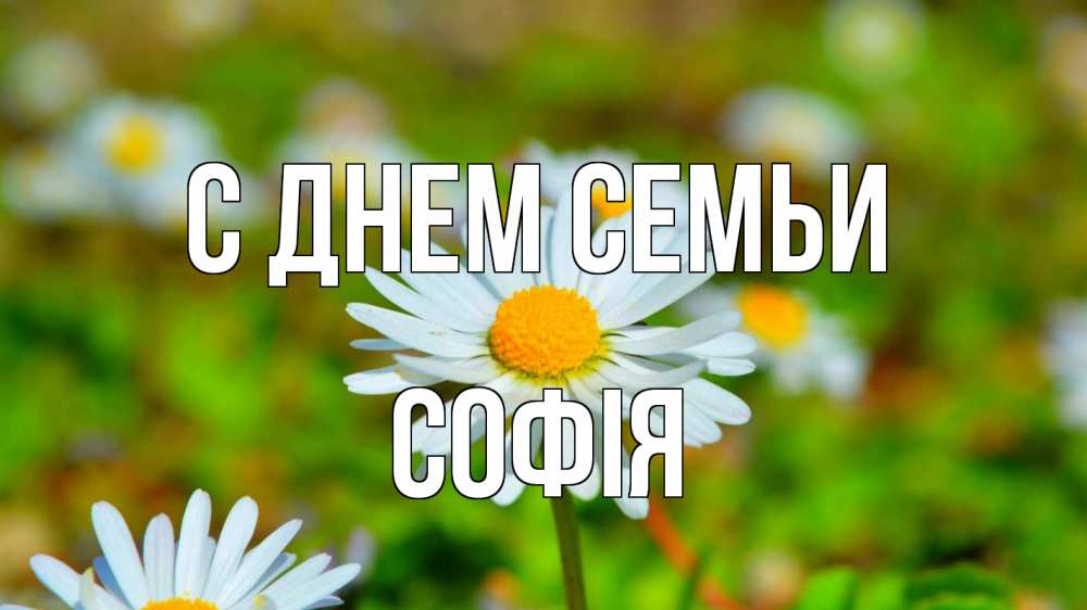 Открытка на каждый день з підписом, Софія С днем семьи с днем семьи Прикольна листівка з побажанням онлайн скачати безкоштовно 