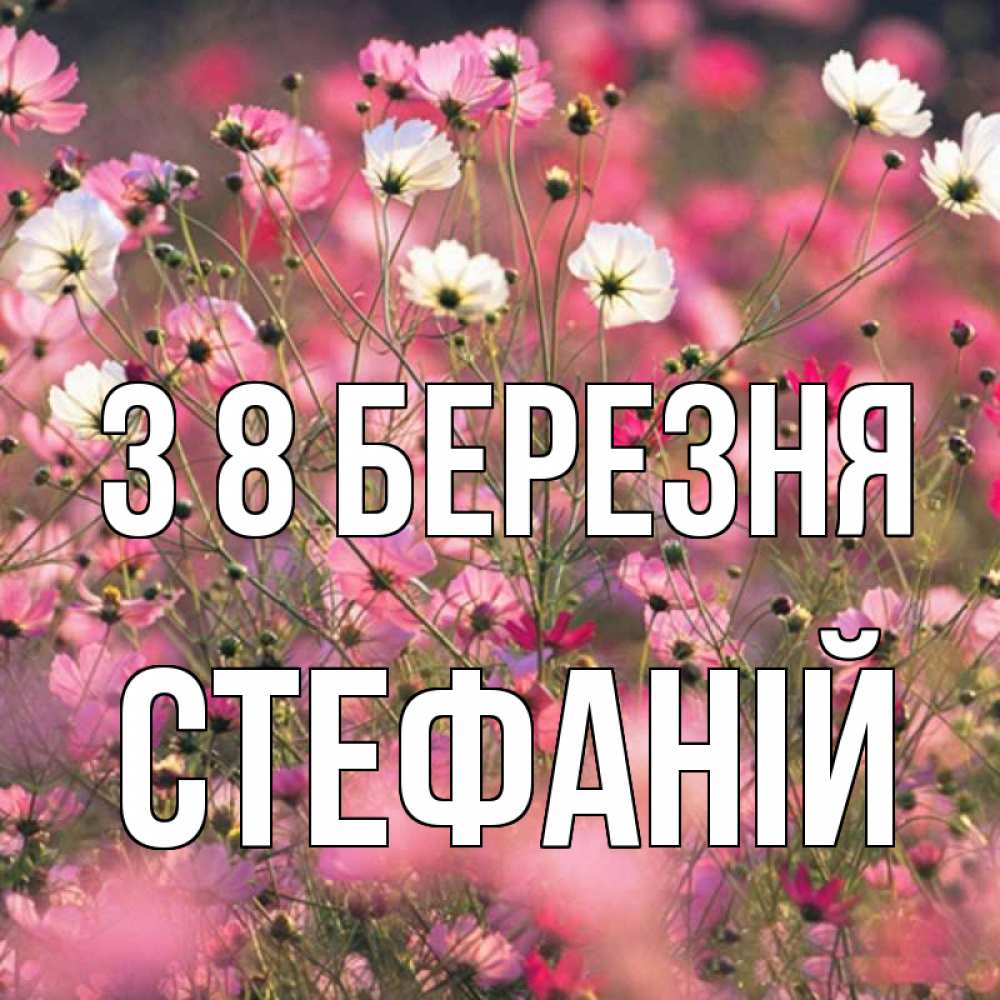 Открытка на каждый день з підписом, Стефаній З 8 БЕРЕЗНЯ красиво 1 Прикольна листівка з побажанням онлайн скачати безкоштовно 