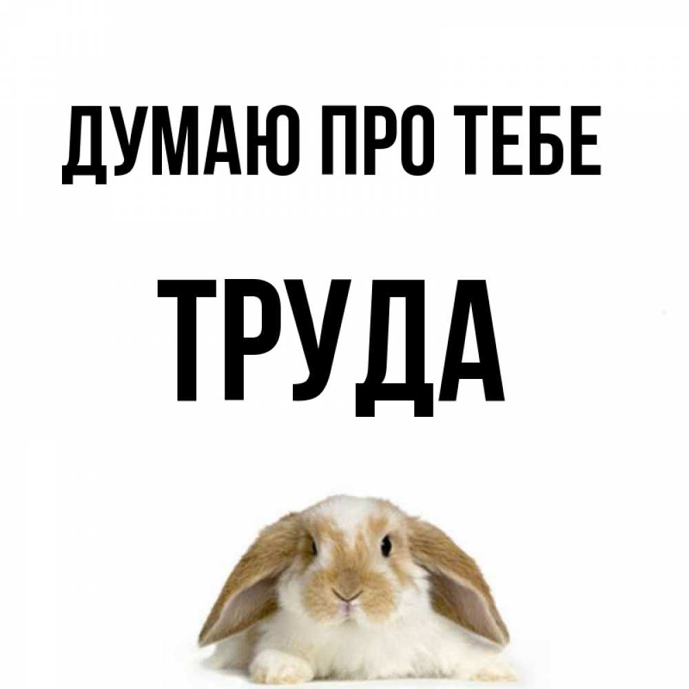 Открытка на каждый день з підписом, Труда Думаю про тебе подписать своими руками онлайн Прикольна листівка з побажанням онлайн скачати безкоштовно 
