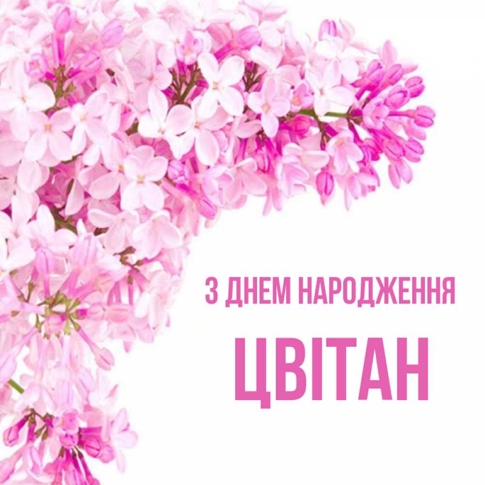 Открытка на каждый день з підписом, Цвітан З Днем народження Сирень на белом фоне Прикольна листівка з побажанням онлайн скачати безкоштовно 
