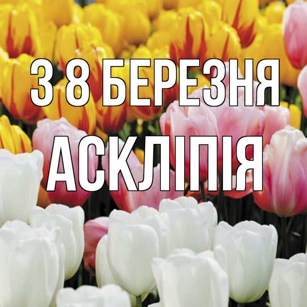 Открытка на каждый день з підписом, Аскліпія З 8 БЕРЕЗНЯ разноцветные цветы Прикольна листівка з побажанням онлайн скачати безкоштовно 