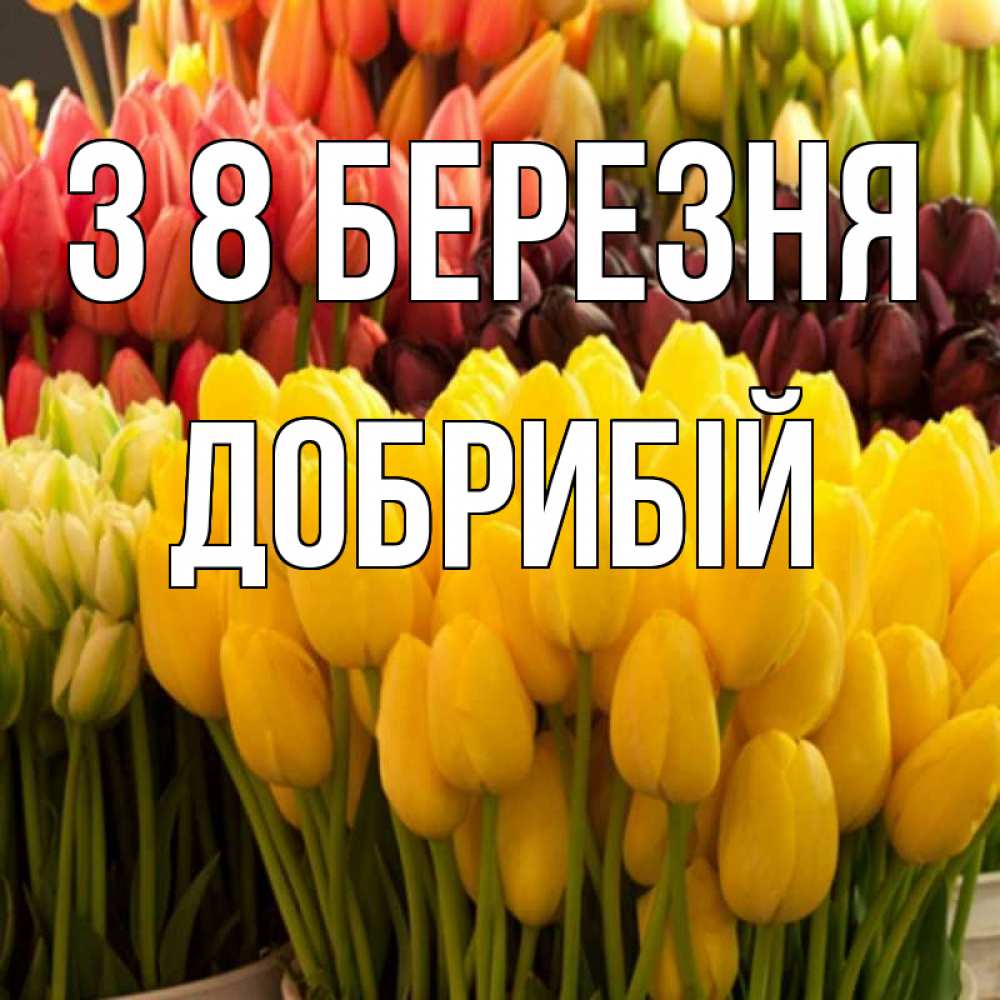 Открытка на каждый день з підписом, Добрибій З 8 БЕРЕЗНЯ цветы Прикольна листівка з побажанням онлайн скачати безкоштовно 