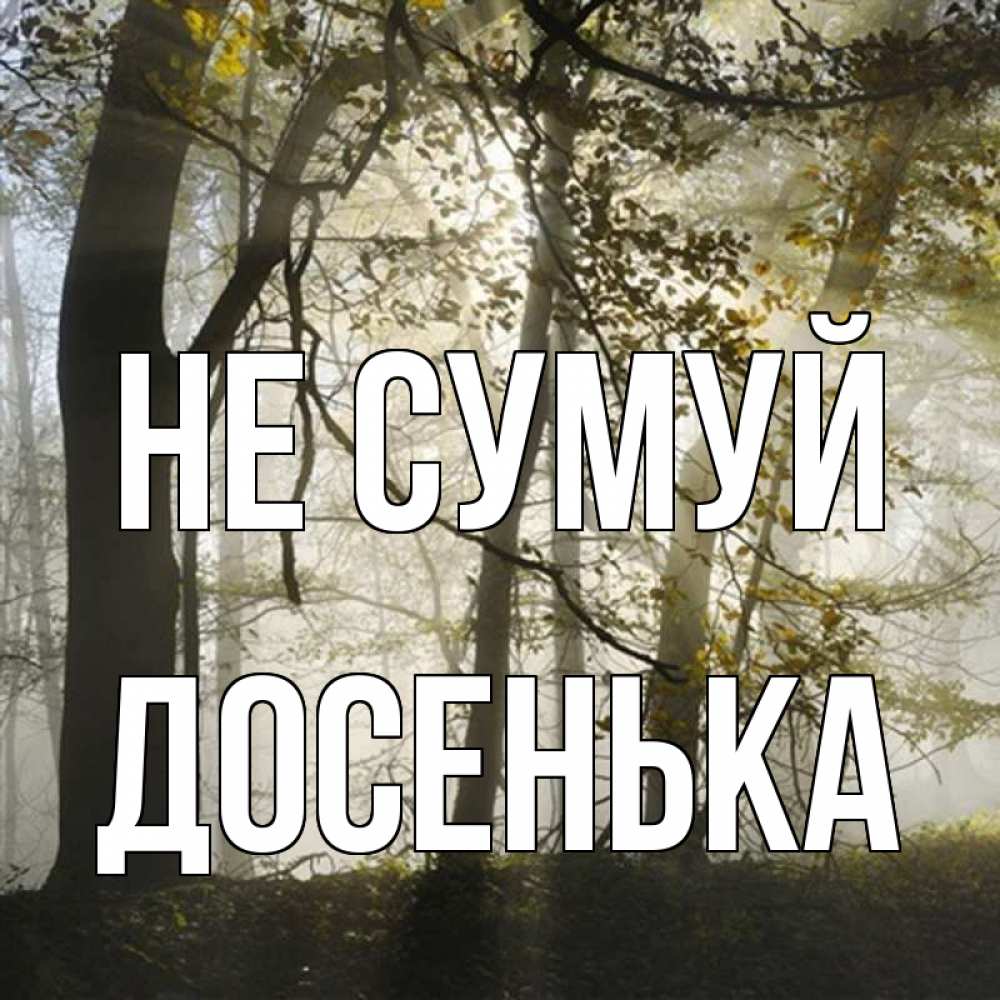 Открытка на каждый день з підписом, Досенька Не сумуй лес и свет Прикольна листівка з побажанням онлайн скачати безкоштовно 