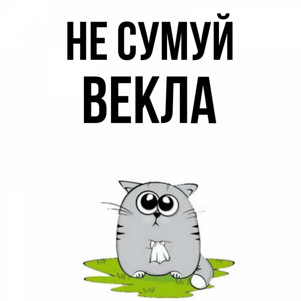 Открытка на каждый день з підписом, Векла Не сумуй грустный котяра Прикольна листівка з побажанням онлайн скачати безкоштовно 