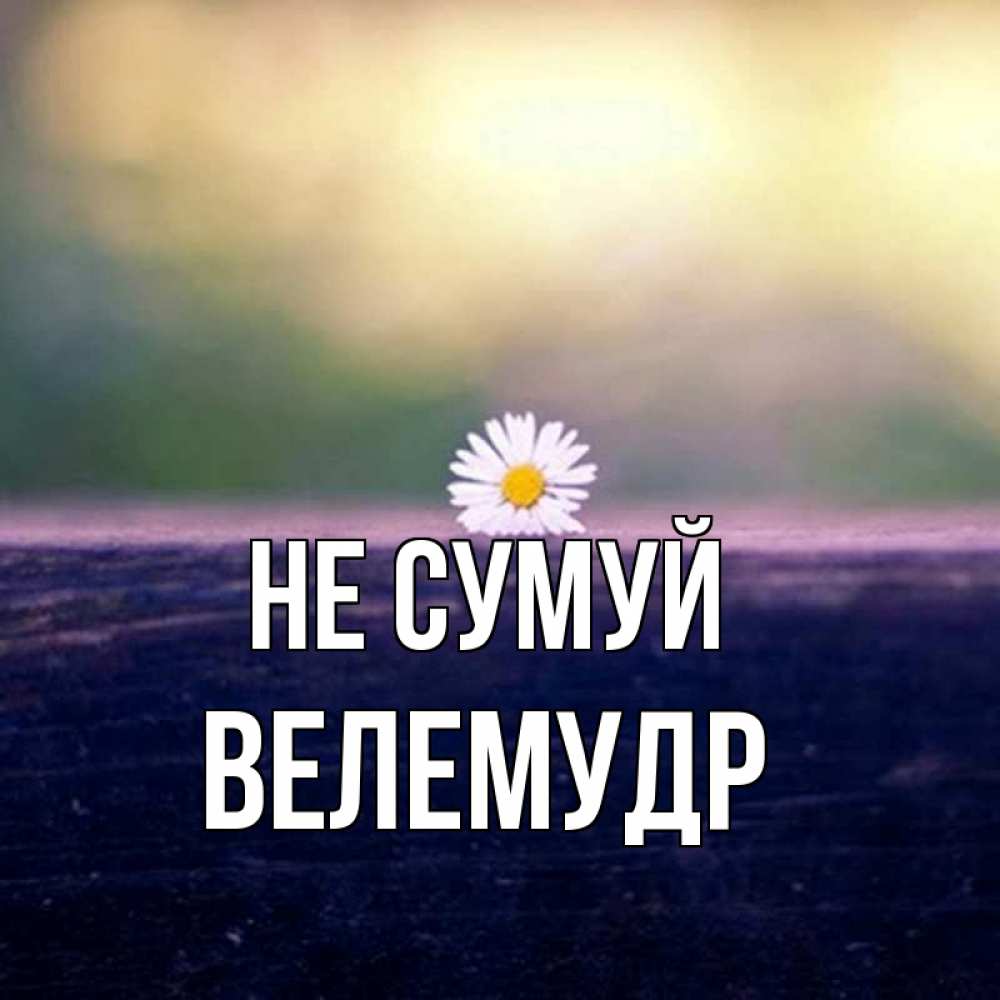 Открытка на каждый день з підписом, Велемудр Не сумуй красота Прикольна листівка з побажанням онлайн скачати безкоштовно 