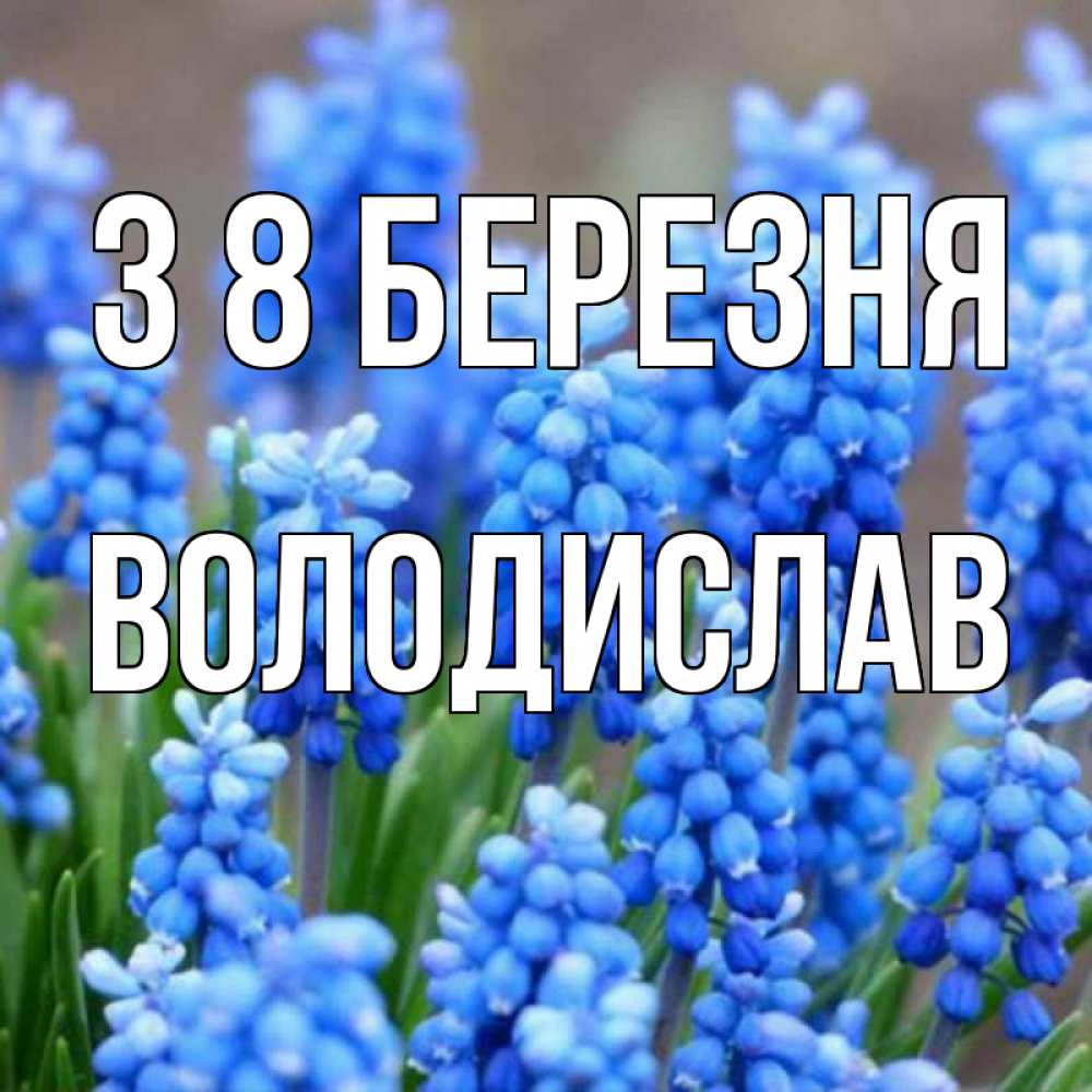 Открытка на каждый день з підписом, Володислав З 8 БЕРЕЗНЯ Поздравительная открытка для женщин с цветами на праздничную дату Прикольна листівка з побажанням онлайн скачати безкоштовно 