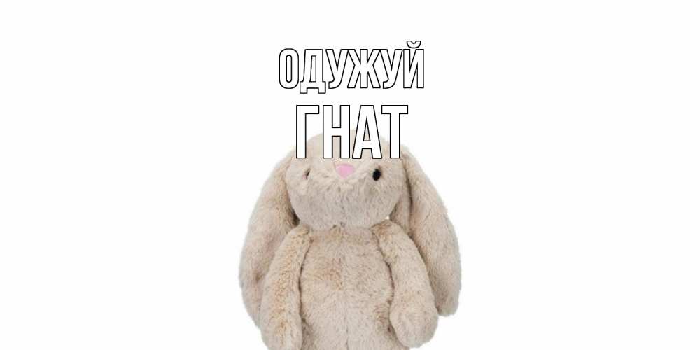 Открытка на каждый день з підписом, Гнат Одужуй не болей Прикольна листівка з побажанням онлайн скачати безкоштовно 