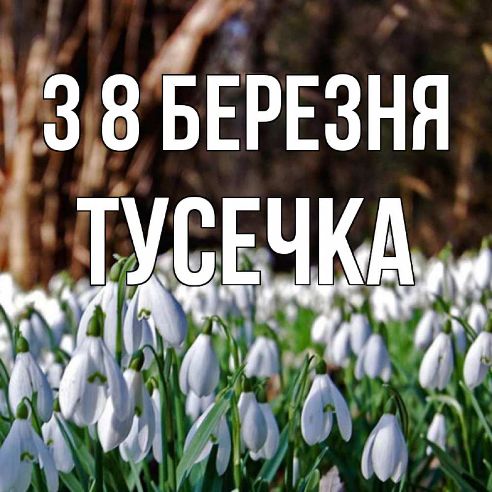Открытка на каждый день з підписом, Тусечка З 8 БЕРЕЗНЯ с подснежниками 1 Прикольна листівка з побажанням онлайн скачати безкоштовно 